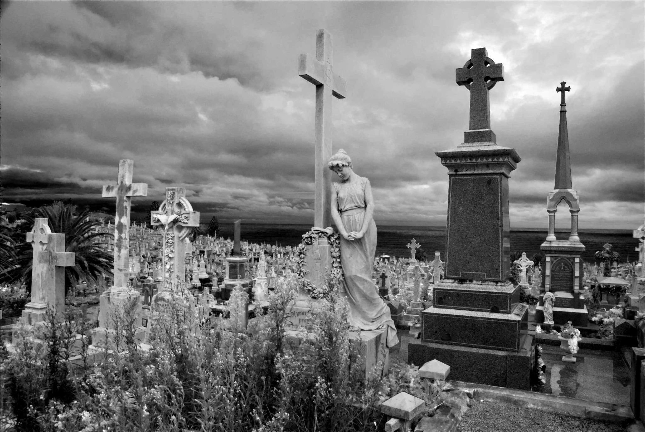 Sydney cemetary